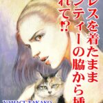 [ラブドール]ドレスを着たままパンティーの脇から挿入されて！？