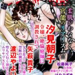 [ラブドール]アネ恋♀宣言 Vol.68